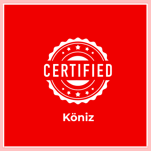 Who Can Provide Certified Translations in Köniz? When is a Certified Translation Required in Köniz? Do I Need a Certified Translation in Köniz? What is the cost of a translation in Köniz? How to Get a Certified Translation in Köniz