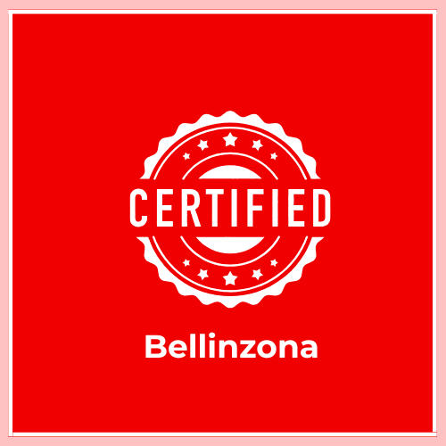 Who Can Provide Certified Translations in Bellinzona? When is a Certified Translation Required in Bellinzona? What is the cost of a translation in Bellinzona? How to Get a Certified Translation in Bellinzona