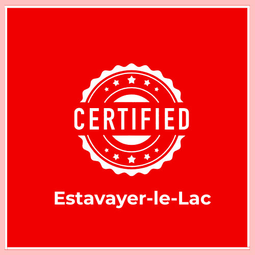 Are Certified Translations Accepted in Estavayer-le-Lac? When is a Certified Translation Required in Estavayer-le-Lac? Do I Need a Certified Translation in Estavayer-le-Lac? What is the cost of a translation in Estavayer-le-Lac? How to Get a Certified Translation in Estavayer-le-Lac