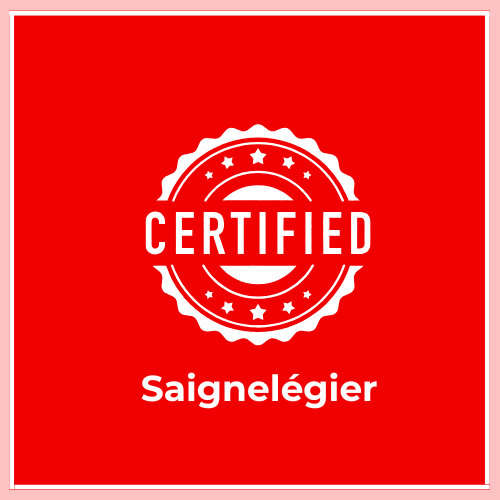What Is the Difference Between Certified and Notarized Translation in Saignelégier? Are Certified Translations Accepted in Saignelégier? Who Can Provide Certified Translations in Saignelégier? When is a Certified Translation Required in Saignelégier? Do I Need a Certified Translation in Saignelégier? What is the cost of a translation in Saignelégier? How to Get a Certified Translation in Saignelégier