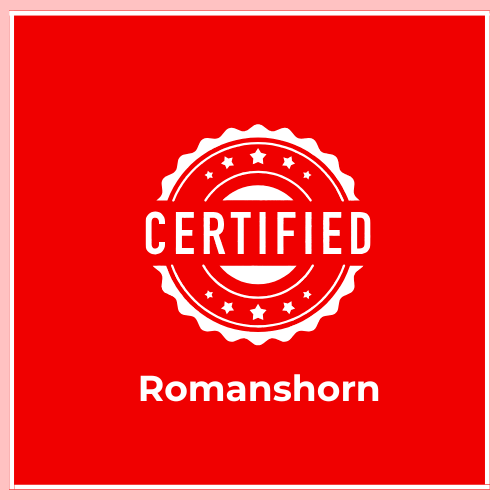 Are Certified Translations Accepted in Romanshorn? Who Can Provide Certified Translations in Romanshorn? When is a Certified Translation Required in Romanshorn? Do I Need a Certified Translation in Romanshorn? What is the cost of a translation in Romanshorn? How to Get a Certified Translation in Romanshorn