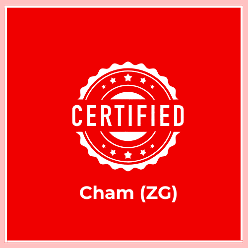 Who Can Provide Certified Translations in Cham (ZG)? When is a Certified Translation Required in Cham (ZG)? Do I Need a Certified Translation in Cham (ZG)? How to Get a Certified Translation in Cham (ZG)