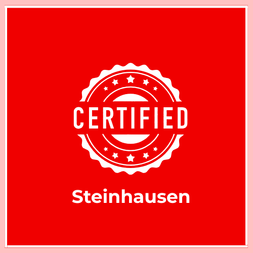 Are Certified Translations Accepted in Steinhausen? Who Can Provide Certified Translations in Steinhausen? When is a Certified Translation Required in Steinhausen? Do I Need a Certified Translation in Steinhausen? What is the cost of a translation in Schaffhausen? How to Get a Certified Translation in Steinhausen