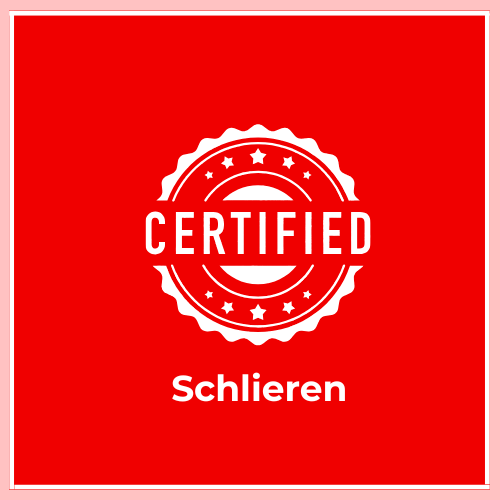 Are Certified Translations Accepted in Schlieren? Who Can Provide Certified Translations in Schlieren? When is a Certified Translation Required in Schlieren? Do I Need a Certified Translation in Schlieren? What is the cost of a translation in Schlieren? How to Get a Certified Translation in Schlieren